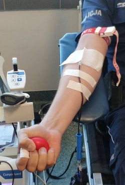 osoba trzyma w dłoni czerwoną piłkę podczas oddawania krwi