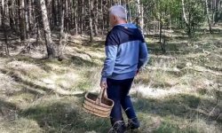 Mężczyzna w lesie z koszykiem na grzyby