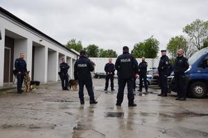 policjanci w mundurach stoją ze swoimi psami
