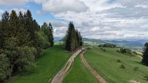 policjanci jadacy polna ściezką