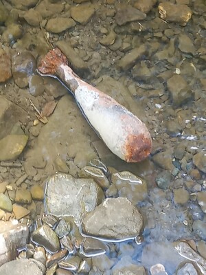 NIewybuch w korycie rzeki