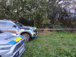 Dwa radiowozy obok siebie w tle zarośla