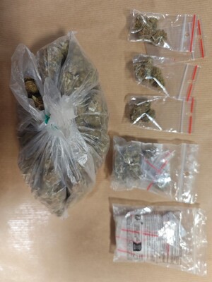 susz roślinny w woreczkach