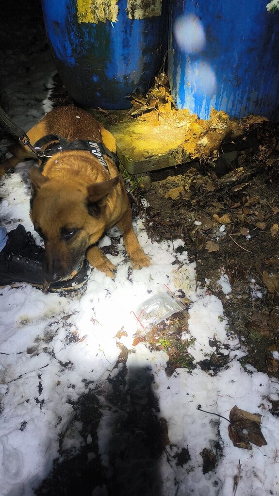 pies słuzbowy obok beczek