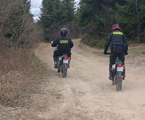 policjanci na motocyklach jadacy po lesnej drodze